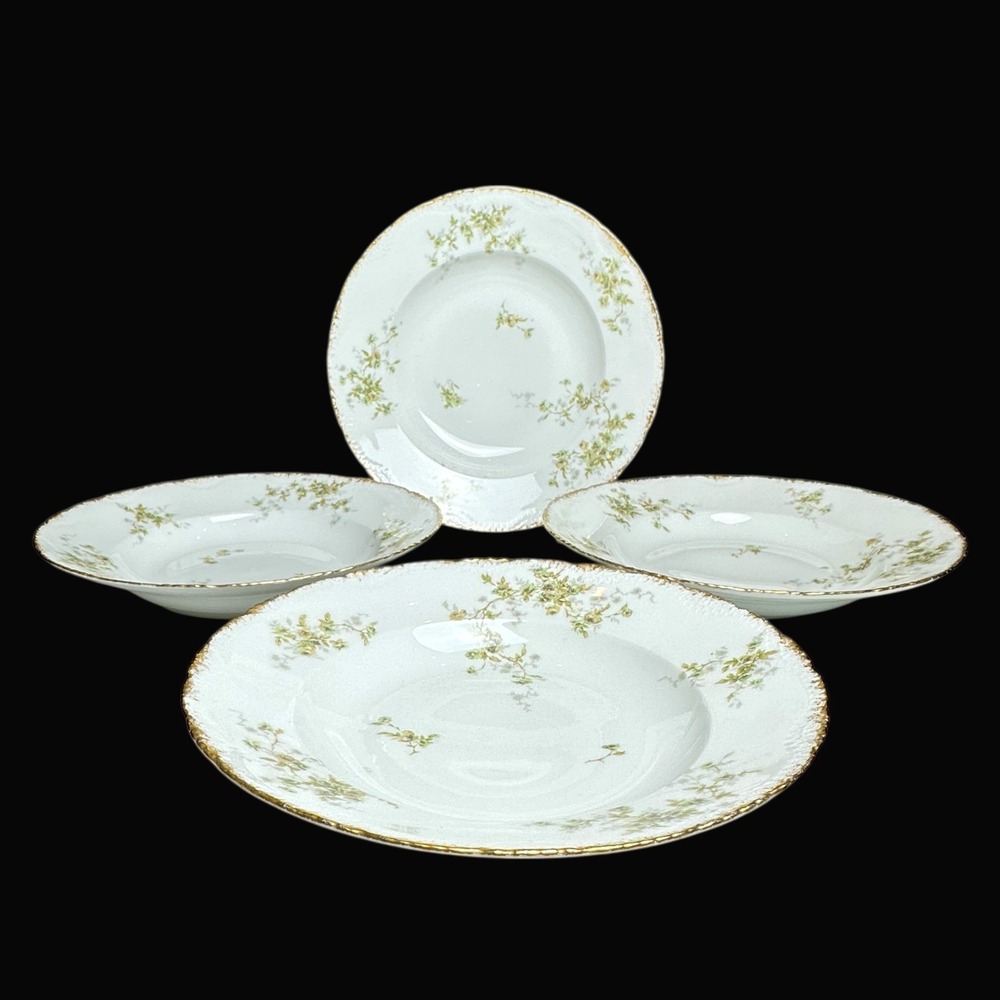 Theodore Haviland Limoges France Soup Bowls Set of 4‎ Floral Gold Rim 9.5 Inch